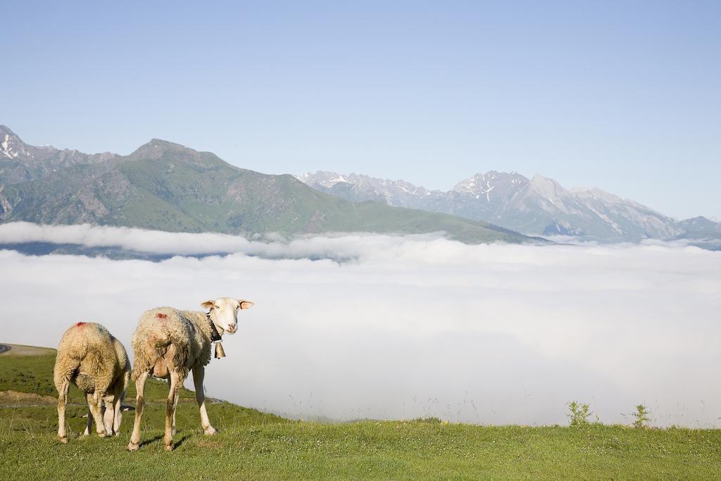 Hotel Le Viscos Saint-Savin  Bagian luar foto